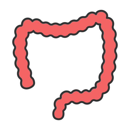 organo Generic color lineal-color icono