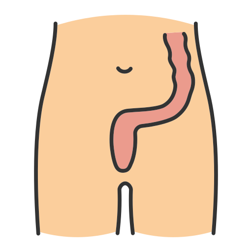 intestino Generic color lineal-color icono