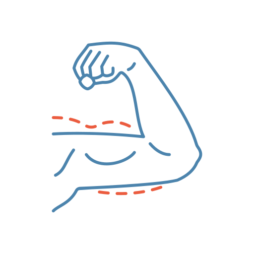 Biceps Generic color lineal-color icon