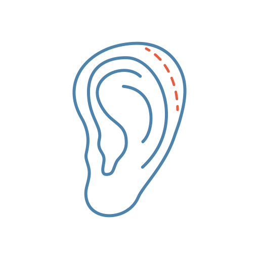 Ear Generic color lineal-color icon