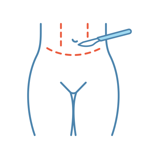 abdominal Generic color lineal-color icono