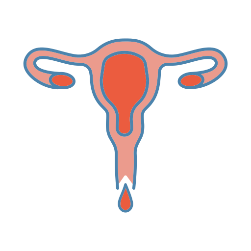 Vagina Generic color lineal-color icon