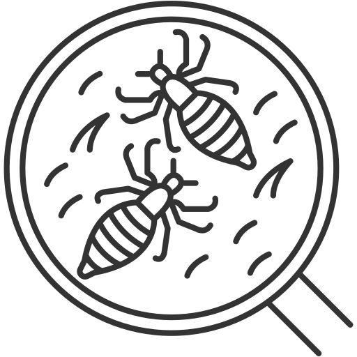Pediculosis Generic outline icon