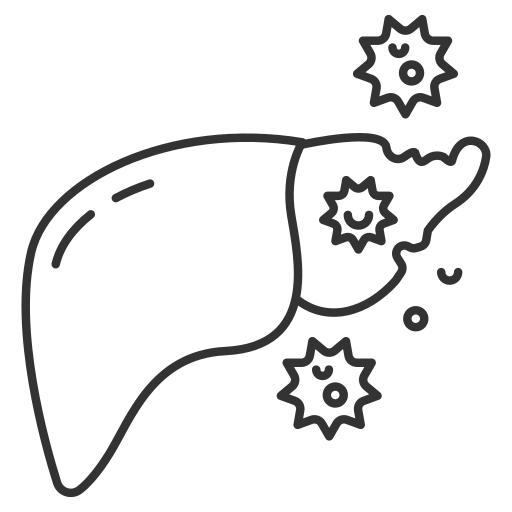 Liver Generic outline icon