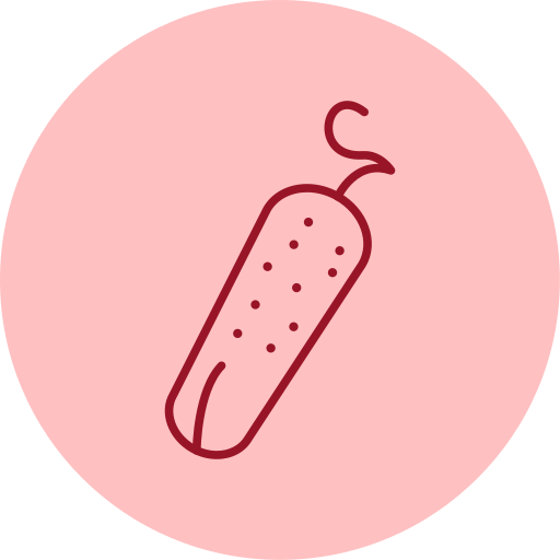 Pickle Generic color fill icon