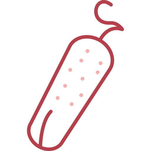 Pickle Generic color lineal-color icon