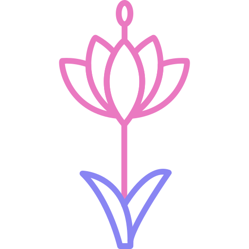 Saffron Generic color outline icon