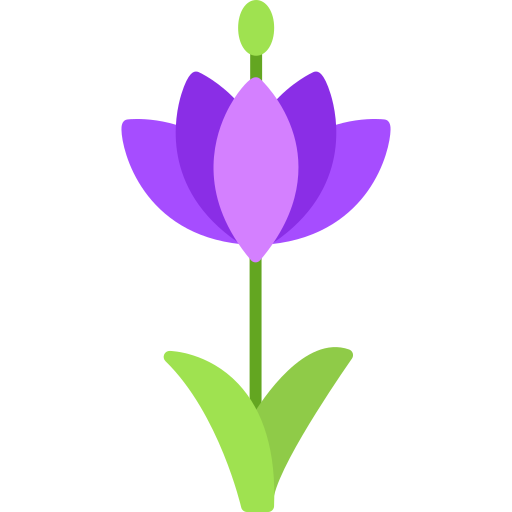 サフラン Generic color fill icon