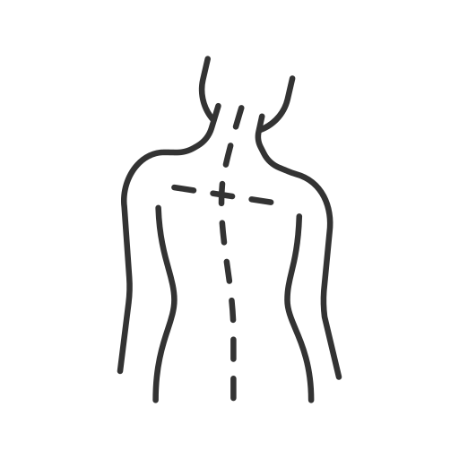 Posture Generic Others icon