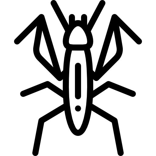 bidsprinkhaan Detailed Rounded Lineal icoon