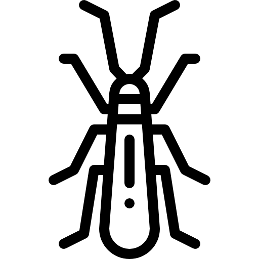 虫 Detailed Rounded Lineal icon