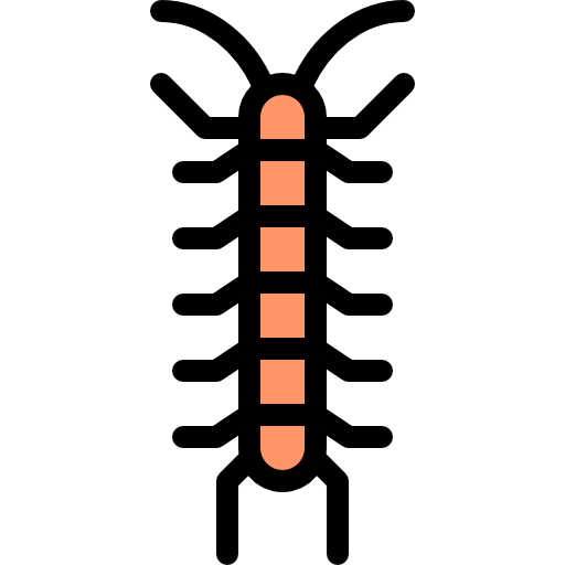 Centipede Detailed Rounded Lineal color icon
