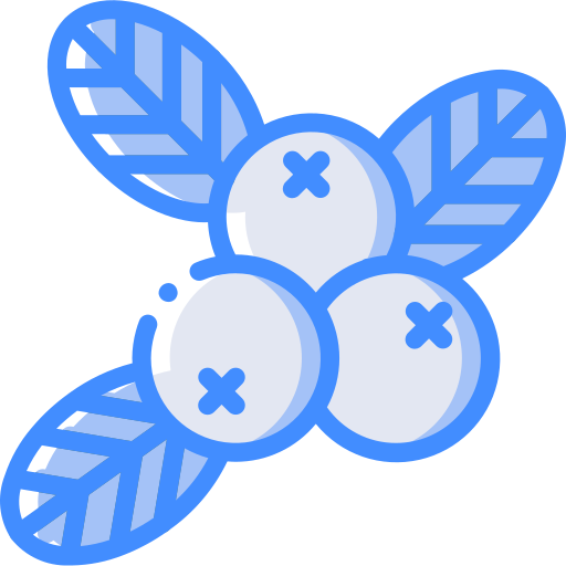 Berries Basic Miscellany Blue icon