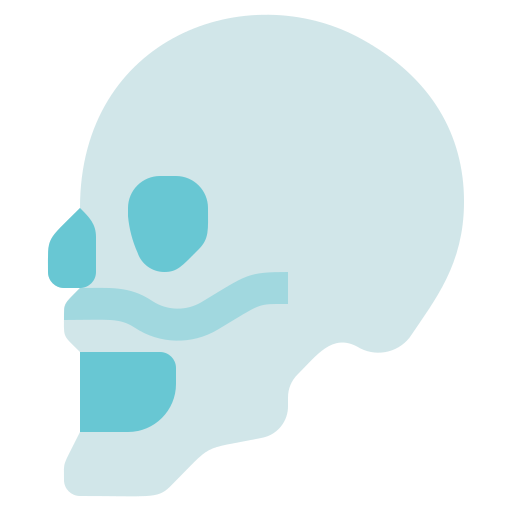 esqueleto Generic Others icono