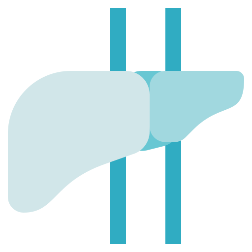 Liver Generic Others icon