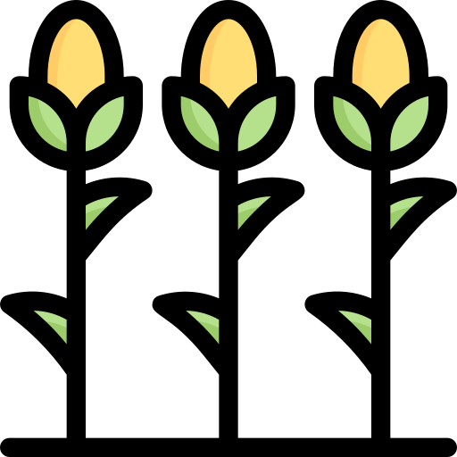 채소 Generic color lineal-color icon