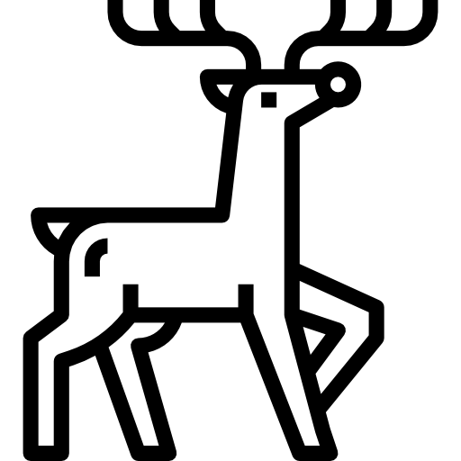 Reindeer Aphiradee (monkik) Lineal icon
