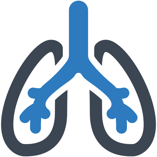 respiratorio Generic outline icono