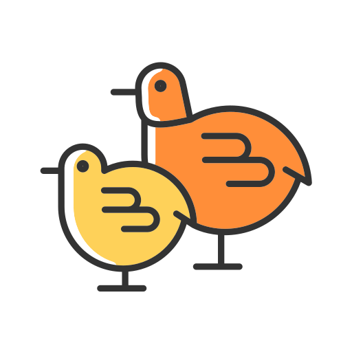 Chicks Generic Others icon