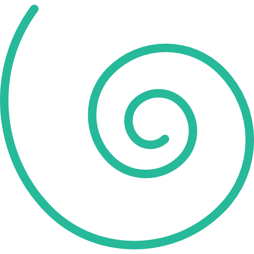 Spiral Basic Miscellany Flat icon