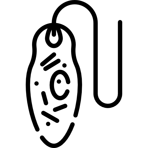 유글레나 Special Lineal icon