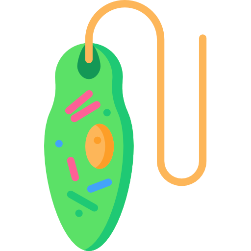 euglena Special Flat icono