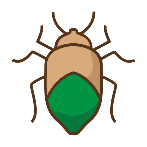 Insect Generic color lineal-color icon
