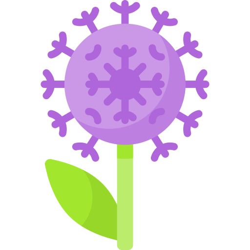 Allium Special Flat icon