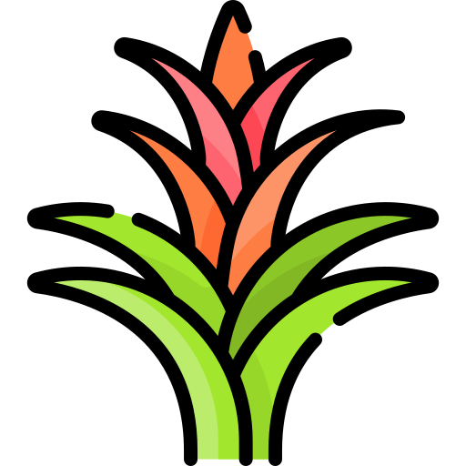 Bromeliad Special Lineal color icon