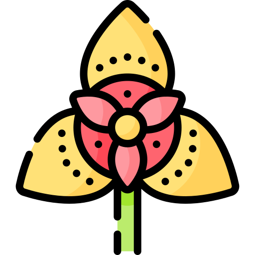 Tiger lily Special Lineal color icon