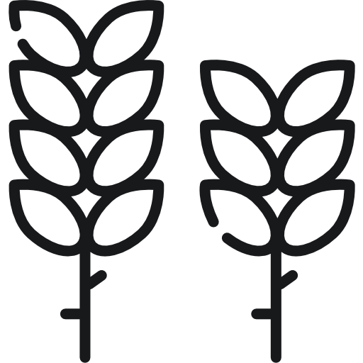 밀 Special Lineal icon