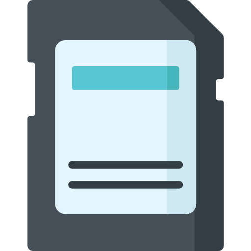Memory card Special Flat icon