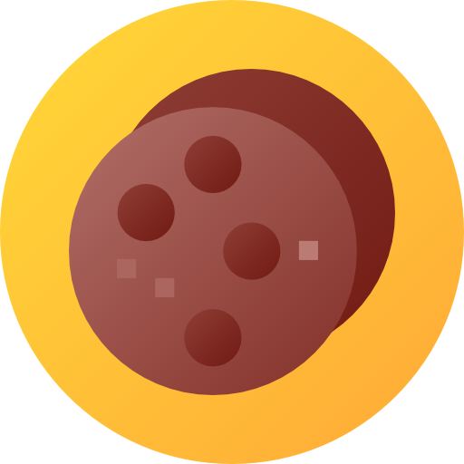 Cookie Flat Circular Gradient icon