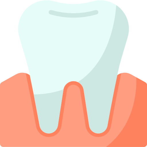 molar Special Flat icono