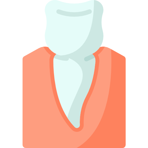 小臼歯 Special Flat icon
