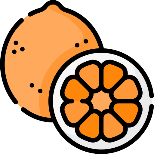 arancia Special Lineal color icona