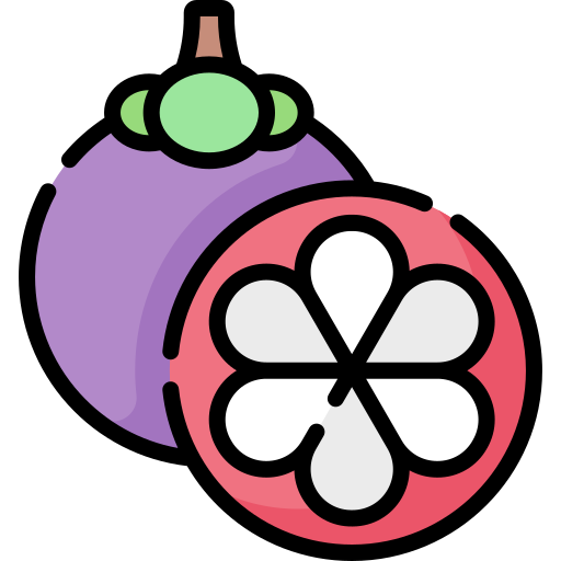 mangostán Special Lineal color icono