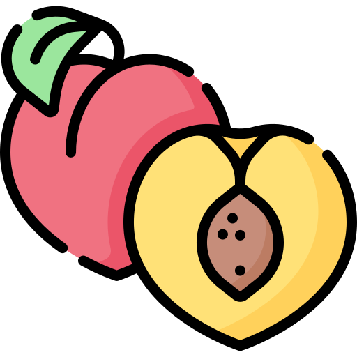 Peach Special Lineal color icon