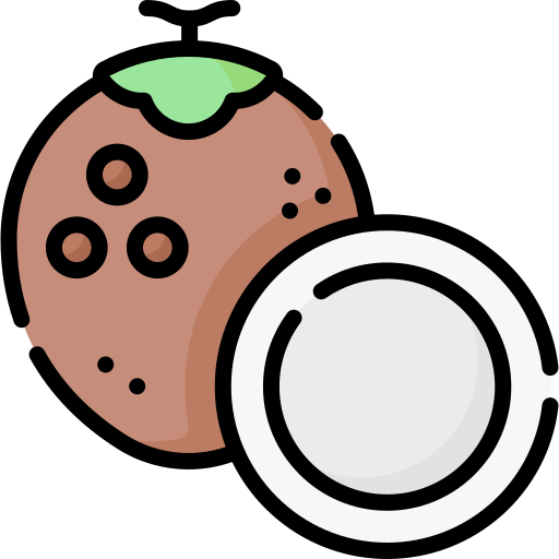 orzech kokosowy Special Lineal color ikona