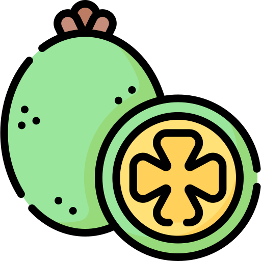 Feijoa Special Lineal color icon