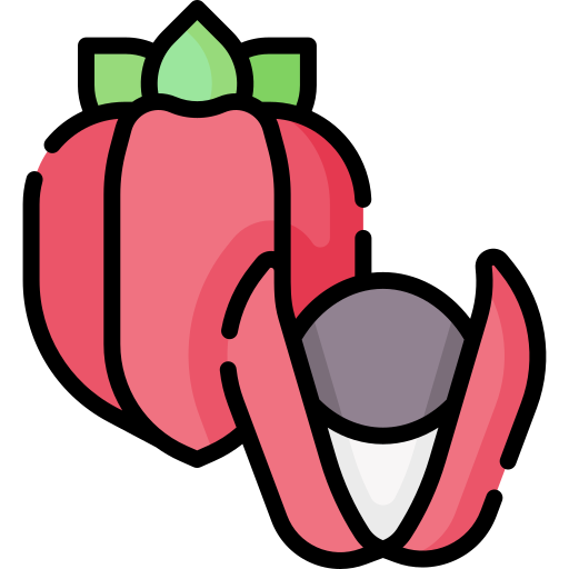 guarana Special Lineal color icon