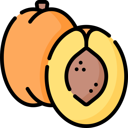 Apricot Special Lineal color icon