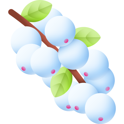 Снежноягодник 3D Color иконка