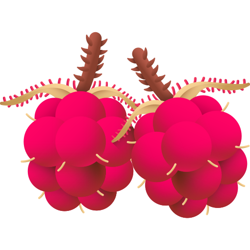 Wineberry 3D Color icon