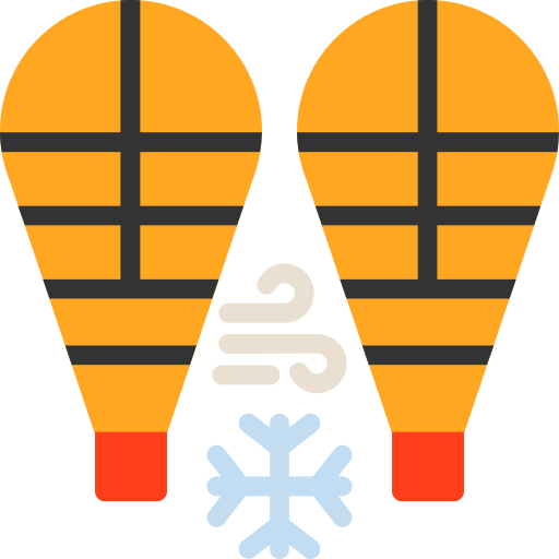 raquetas de nieve Generic color fill icono