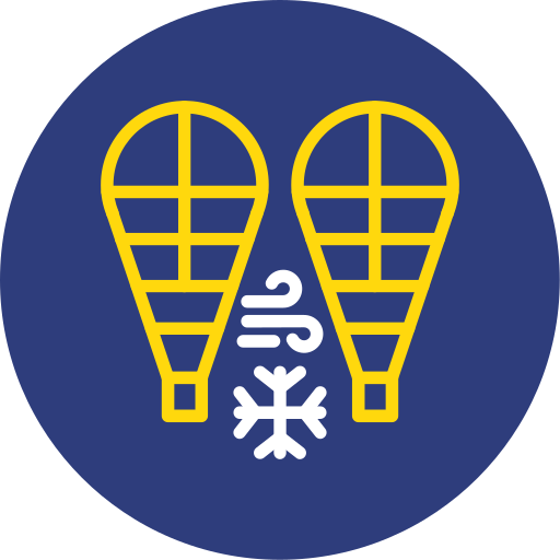 Snowshoes Generic color fill icon