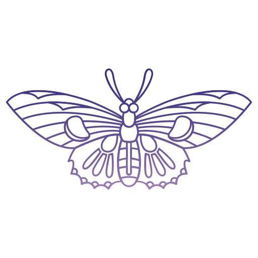vlinder Generic gradient outline icoon