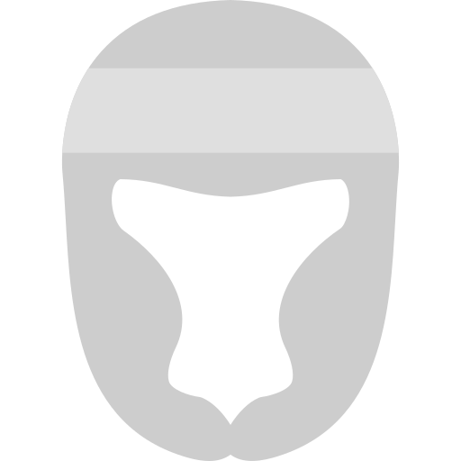 Helmet Generic color fill icon