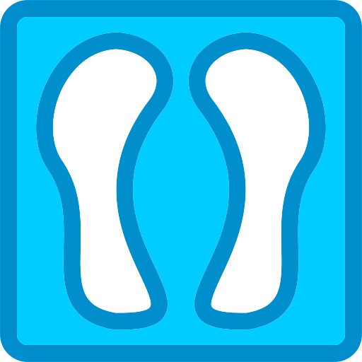 Footprint Generic color lineal-color icon