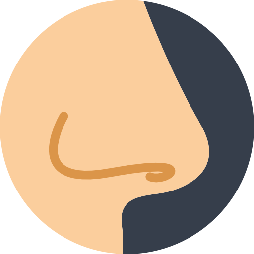 Nose Basic Miscellany Flat icon